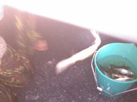 2014-02-28 23-53-08 1393915535